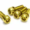 Reverse Schroevenset Voor Schijfrem M6 18mm - 4 Stuks - Goud -Park Tool Verkoop 01810 1 11MjDMtGPkUrBT